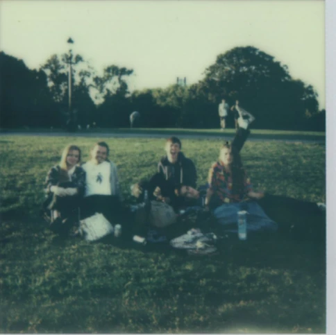 Friends gathered together on the grass